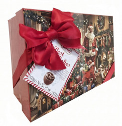 Sorini Christmas Box Дед Мороз шоколадные конфеты 300г