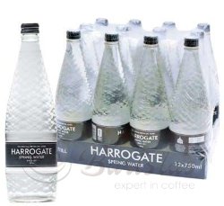 Harrogate 0,75л ст/бут без газа вода минеральная (12)