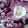 Rabitos royale white №3 Инжир в белом шоколаде с трюфельной начинкой из белого шоколада 47 г