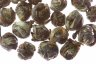 Althaus Jasmine Pearls Bai Yin зеленый ароматизированный чай 100г пакет